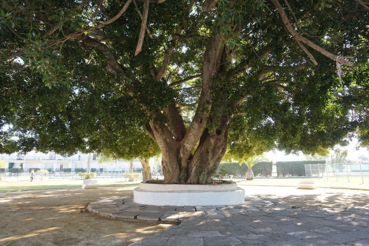 Villa Horacia Sanlúcar de Barrameda Екстериор снимка